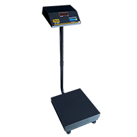 GYM Scale, gym scale