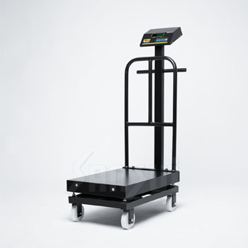 SPP TROLLEY, spp trolley, platform scale, trolly platform weighing scales